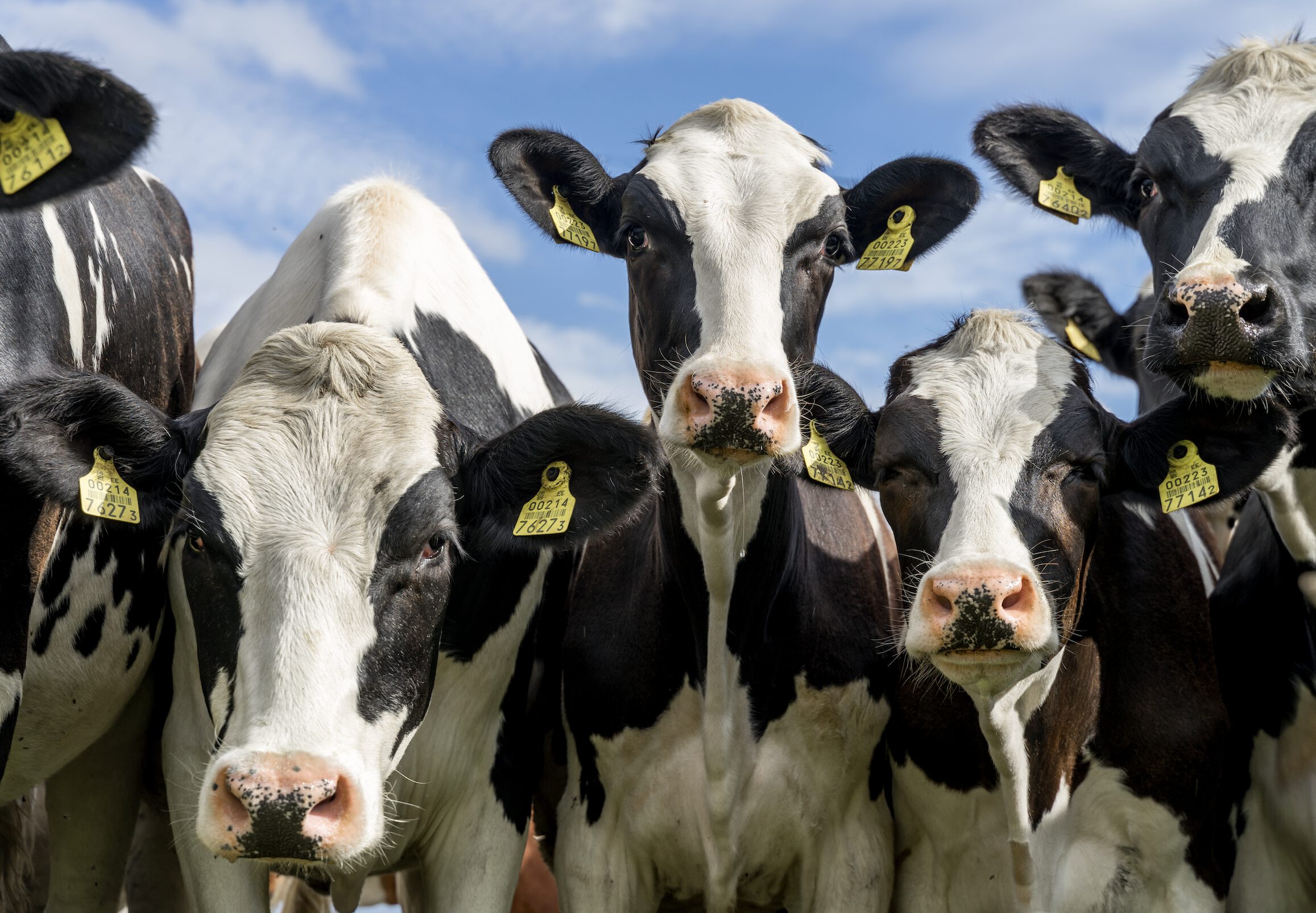 Screenshot 2024-09-17 at 2.19.00 PM